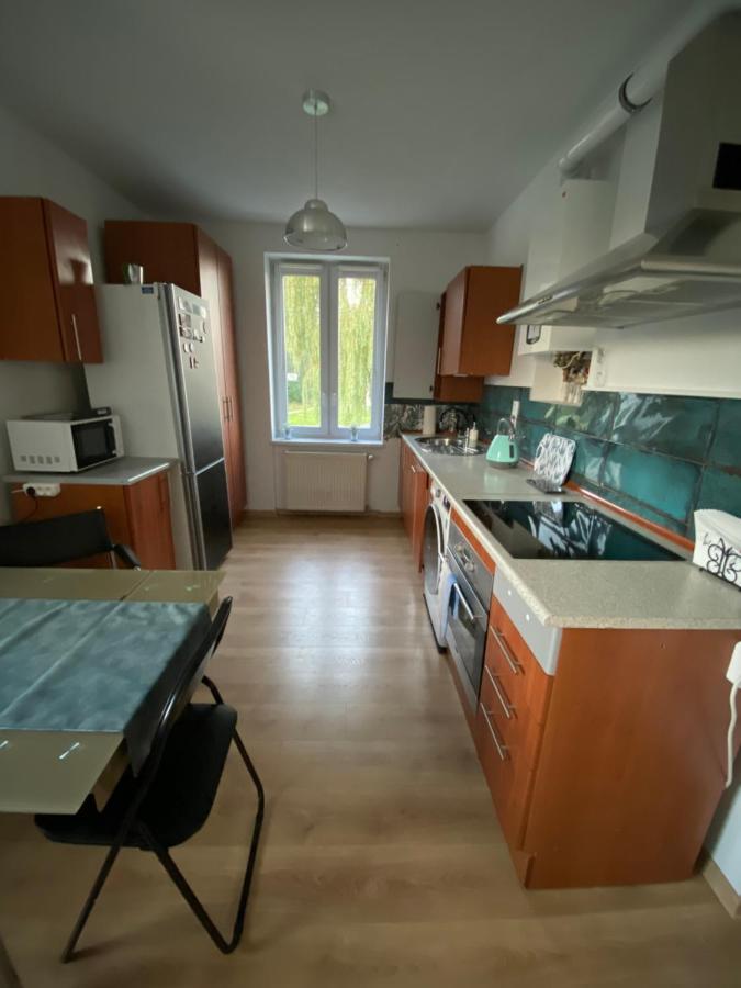 Apartament Czytelnia - Parking Gratis Poznań Zewnętrze zdjęcie