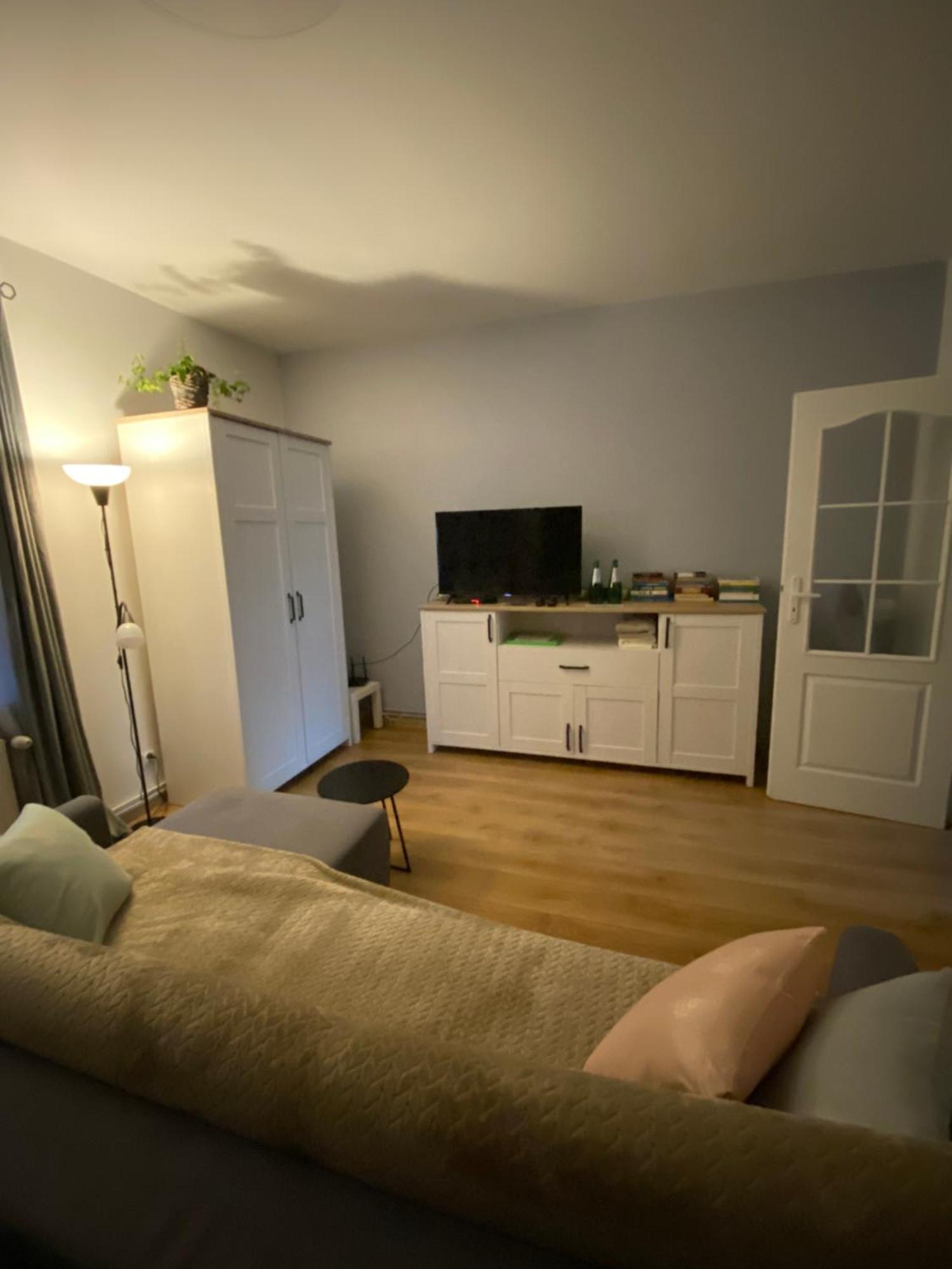 Apartament Czytelnia - Parking Gratis Poznań Zewnętrze zdjęcie